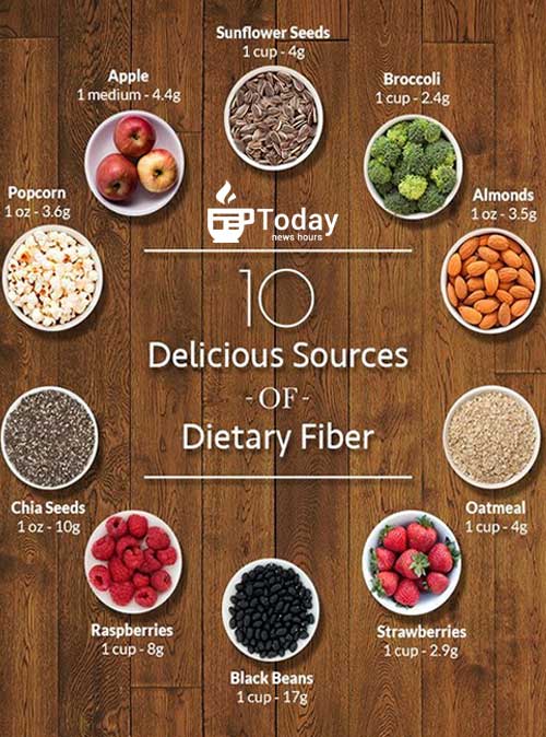 Did you know Top Facts about Fibers? | Today News Hours